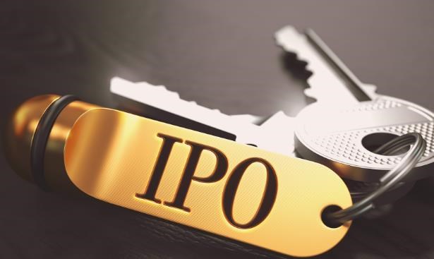 Initial Public Offering (IPO)